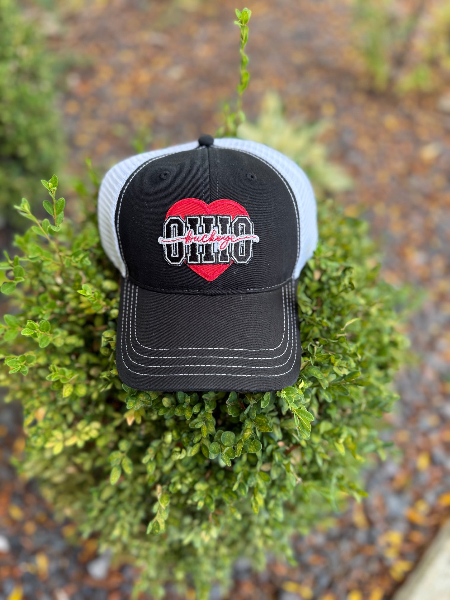 Ohio State Hat